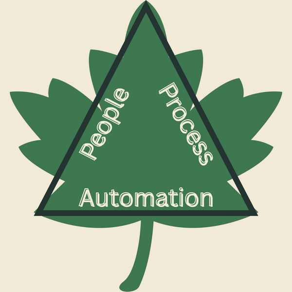 Maple 6 Logo
